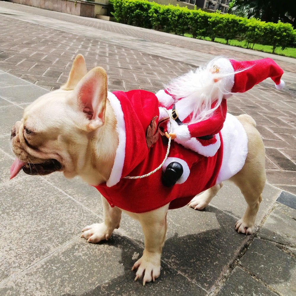 Kæledyrstøj hund juletøj påklædt julemanden ridende hjorte og hund påklædt til jul