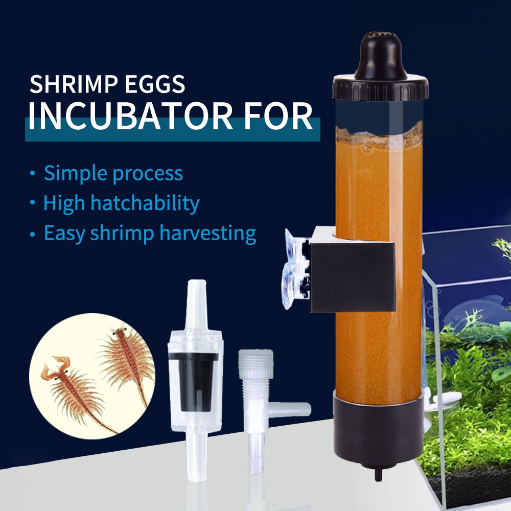 Aquarium Incubator Aquarium Garnalen Vissen Eieren... Grandado