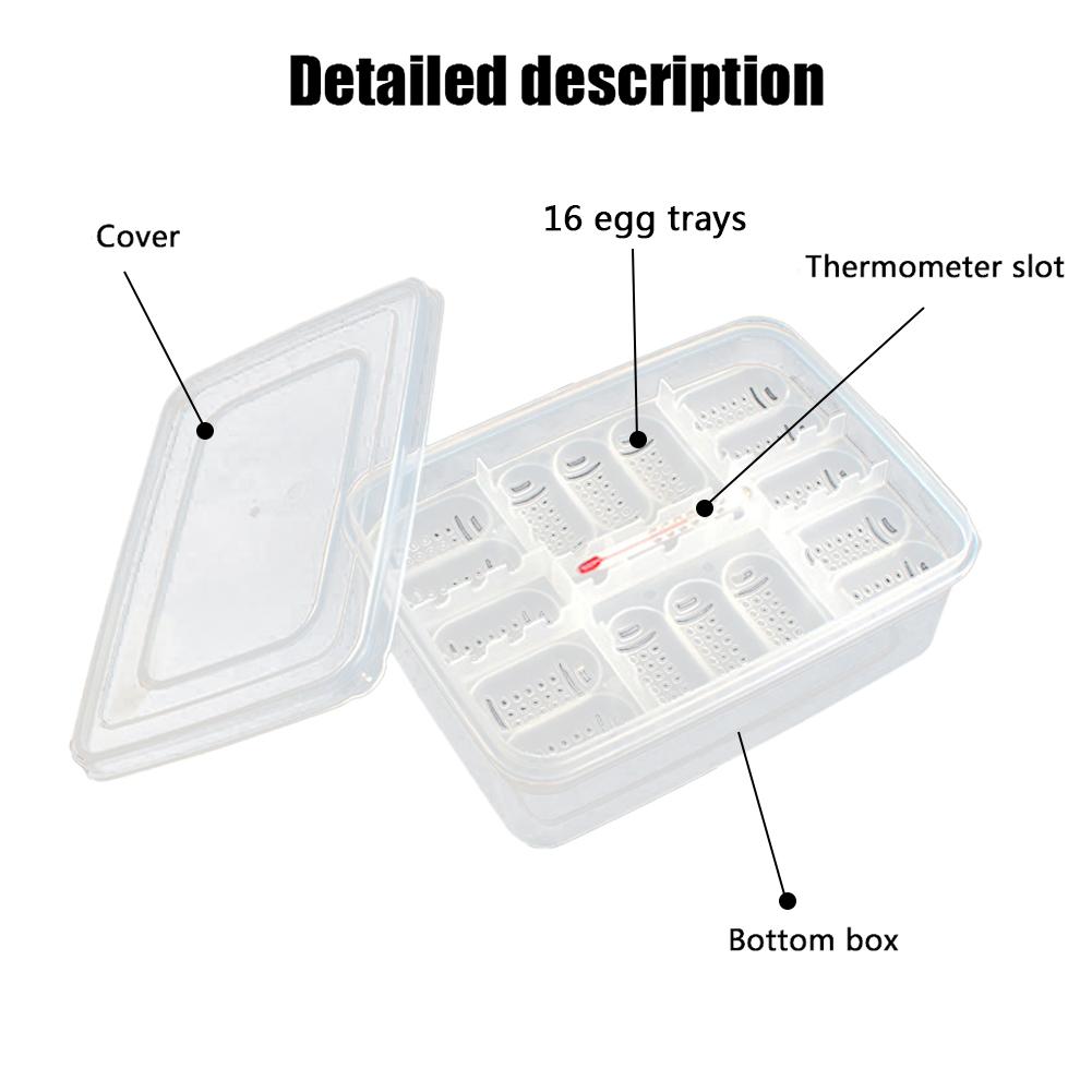 16 Grids Egg Hatching Guard Palace Snake Lizard Reptiles Hatching Egg Tray Reptile Hatching Breeding Box Incubator