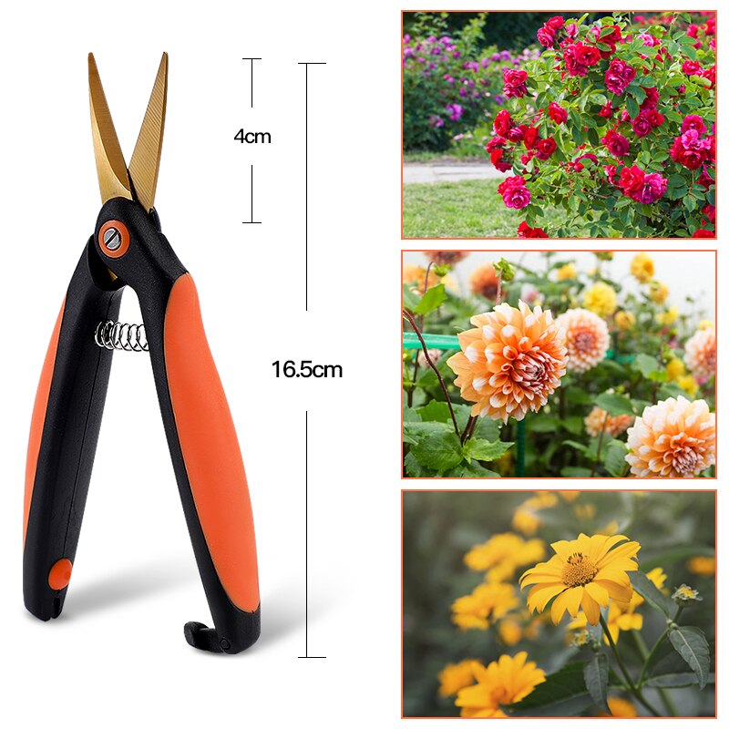 Airaj trädgård beskärningssax uppsättning vass beskärare sax trädgårdsredskap bonsai blomma odla kvinnor barn klippa blommor
