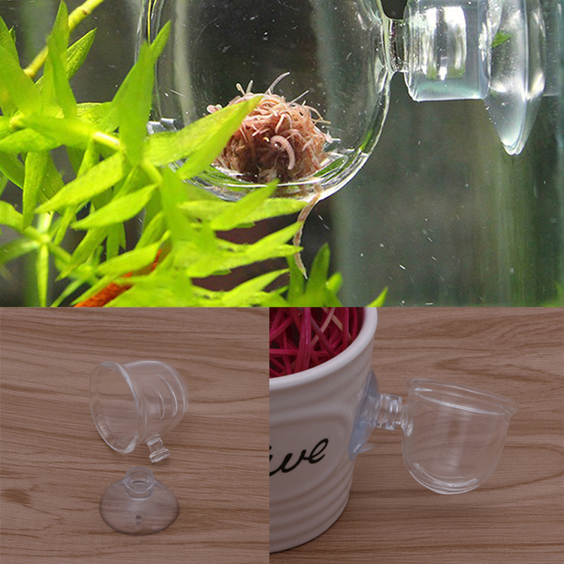 Hogar Paradies Besser 1pc Glas Topf Anlage Schnittfuge Tasse Halfter Garnelen Aquarium Aquarium Wasser Zubringer Neue