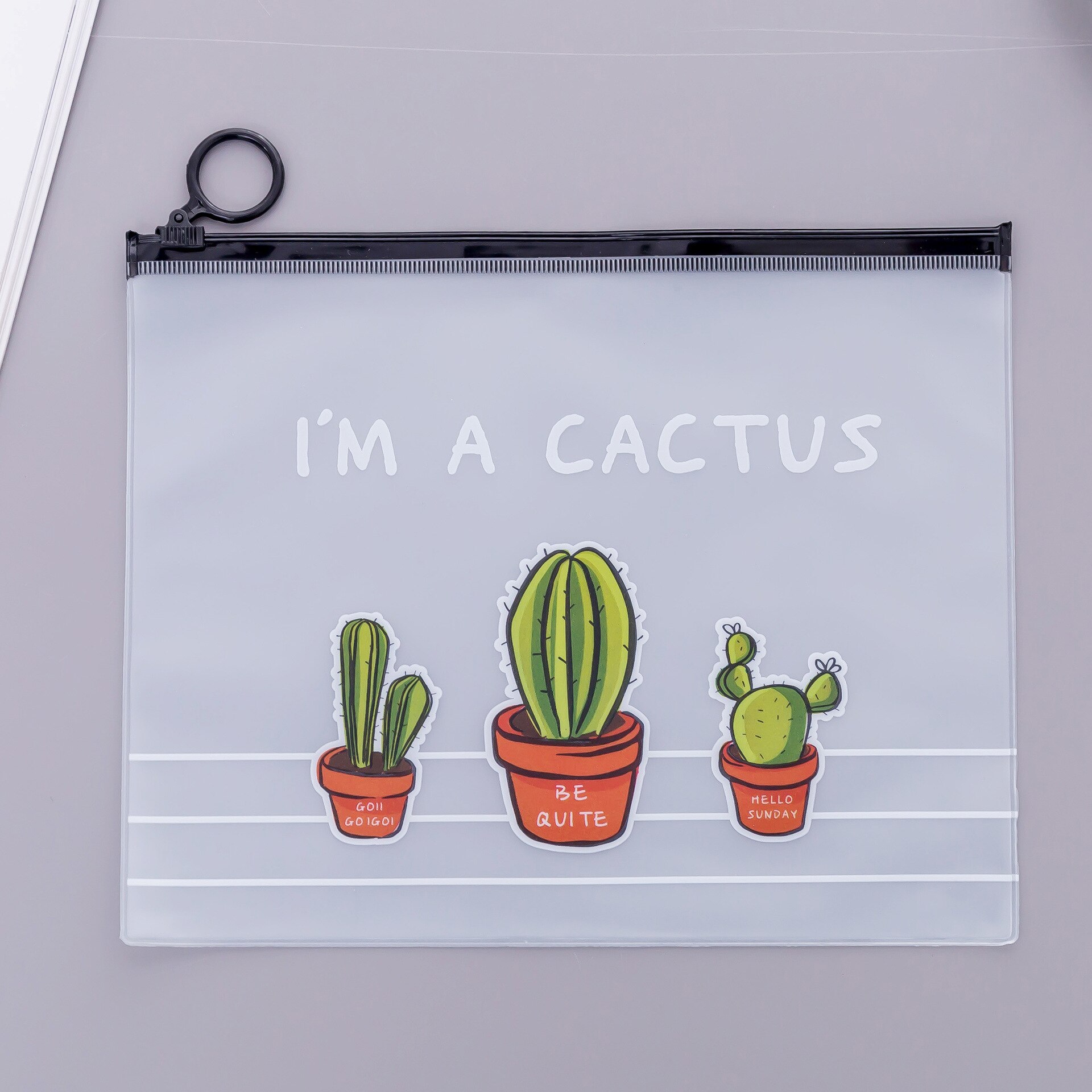 Carpeta de archivos A5 de PVC transparente con cremallera de Cactus, bolsa para Archivo de Documentos, accesorio para diario de viaje, billetes, tarjetas, bolsa de almacenamiento: 1