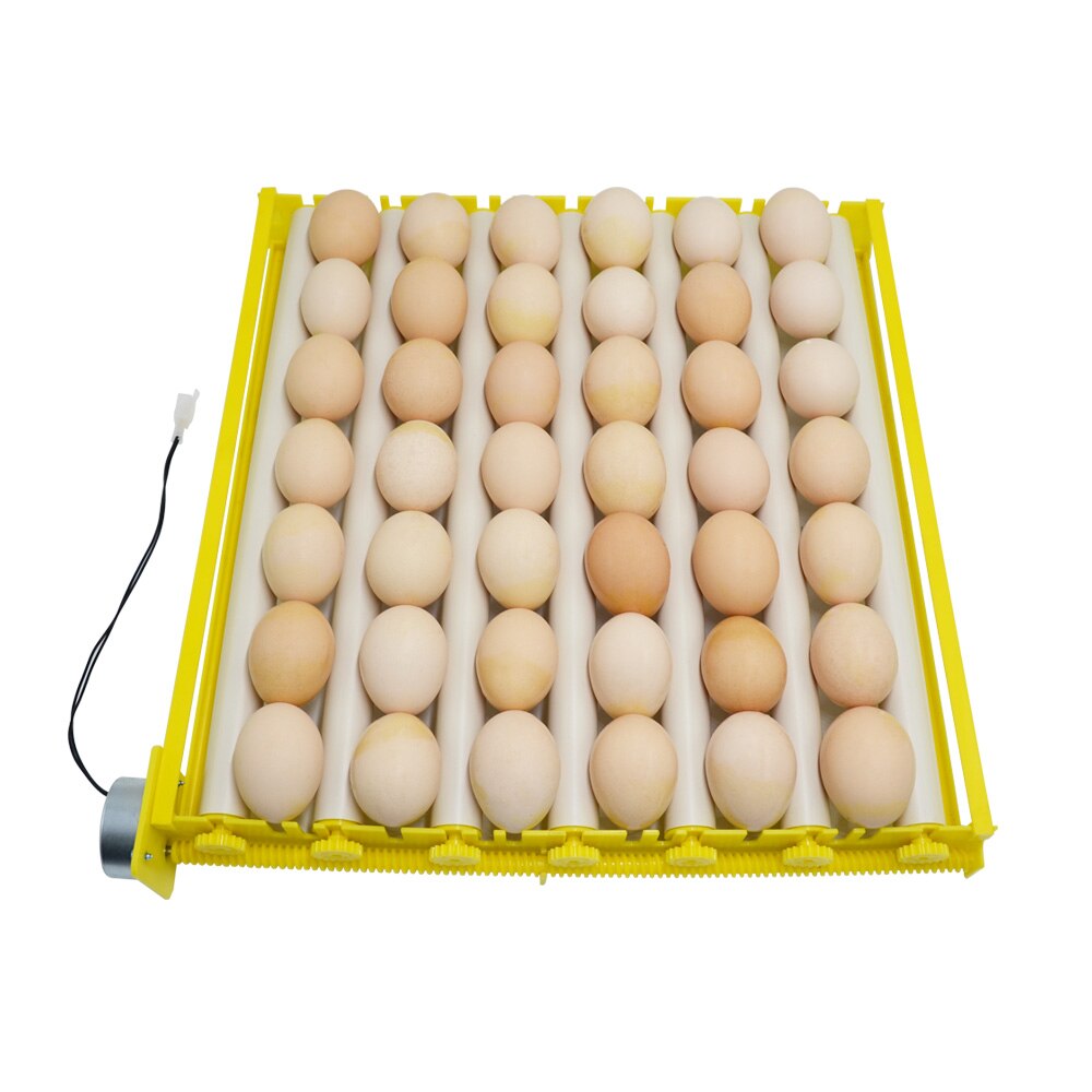 Automatische Roller Eierbak 360 ° Roterende Eierdraaier 220V Eieren Incubator Patroon Ei Incubatie Accessoire Voor Vogelkip