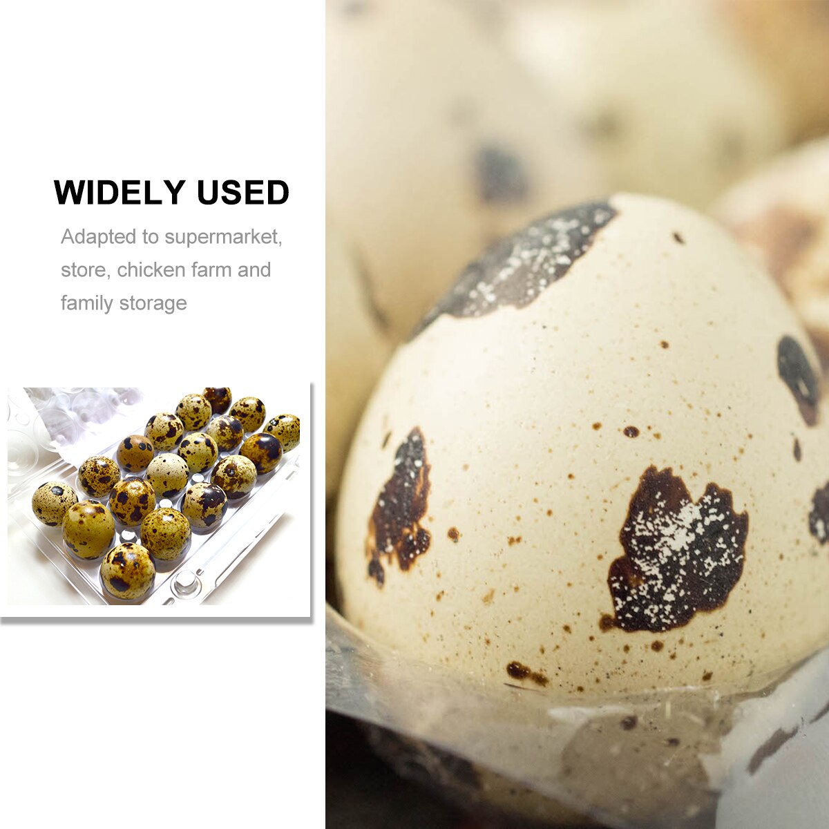 Caja organizadora desechable de Pvc para almacenamiento de huevos de codorniz, caja dispensadora de Huevo transparente, 50 Uds.