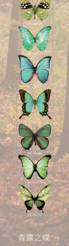 Vlinder Collector Series Leuke Dromerige Washi Masking Tape Stickers Bloem Scrapbooking Briefpapier Decoratieve Lange Strip Tape: 8