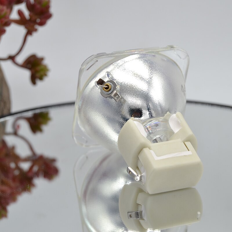 Optoma SP.8EG01GC01 Compatible Projector Lamp - 200W Replacement Bulb