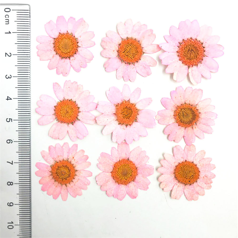 Silicone world Dried Flower Dry Plants For Epoxy Resin Pendant Necklace Jewelry Making Craft DIY Accessories UV Expoxy Flower