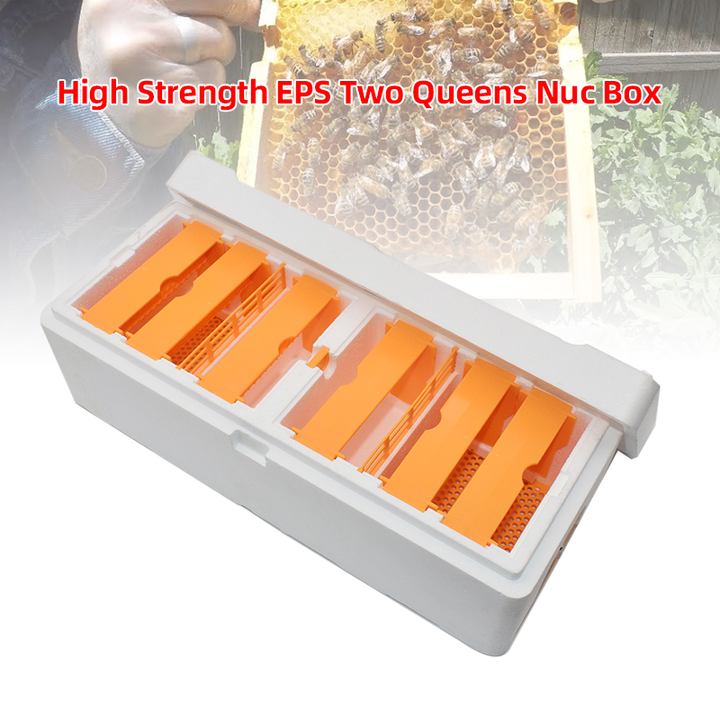 High Strength EPS Bee Hive Mini Mating Box Mating Beehive with Plastic Frames Beekeeping Pollination Box Nuc Beehive