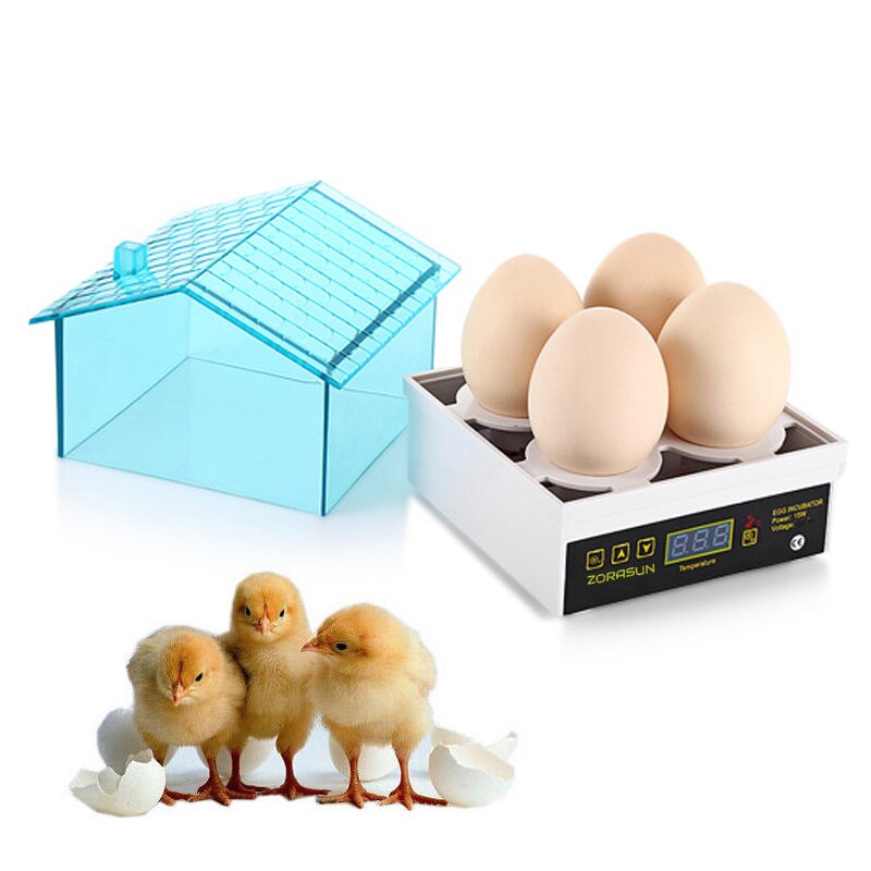 4 Egg Incubator Automatic Temperature Control Small Brooder Hatchery Egg Incubator Hatcher for Chicken Duck Bird Pigeon Quail