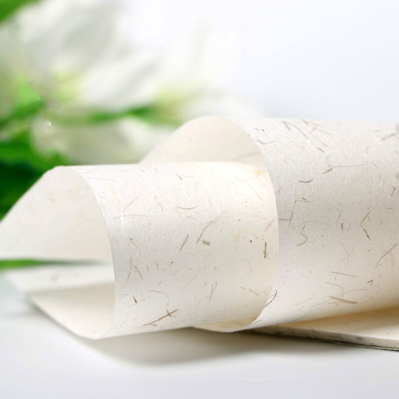 20szt 20*30CM chińnarty styl starożytny rymowanek papiernicze papier robić malowania ręcznie wykonana roślina Yunlong papier papier ryżowy papier firmowy: C