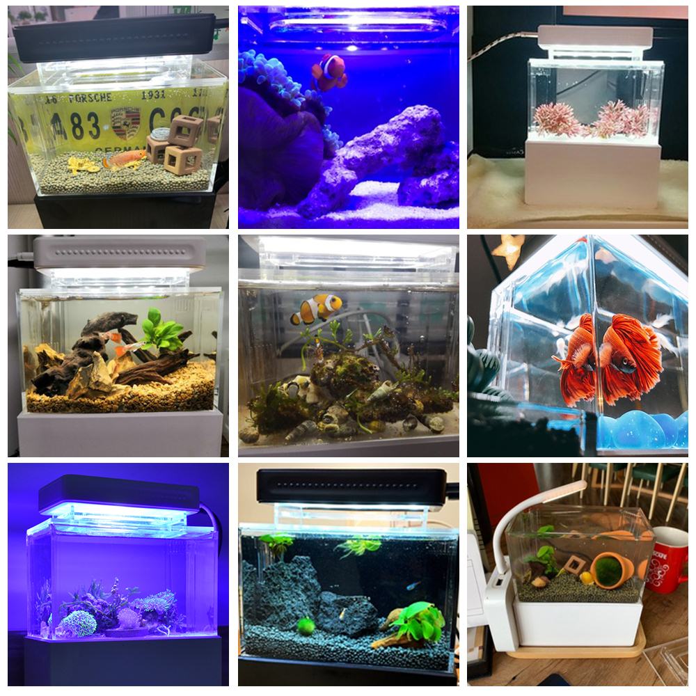 Mini Aquarium de bureau lumière LED Aquarium poissons bol avec filtre à eau USB pompe à Air Filtration Betta poisson bol réservoirs Aquario