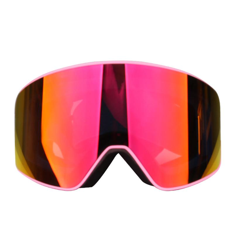 Utomhus snowboard skidglasögon dubbla lager sandtäta antidimglasögonglasögon klättring cykling ridning skidglasögon: D