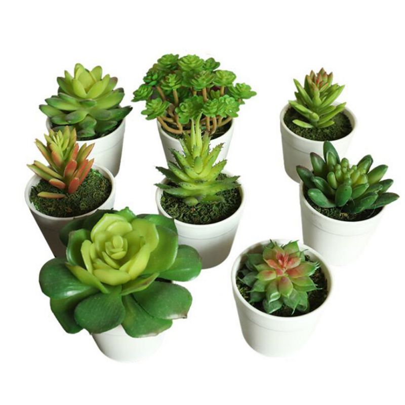 Kunstmatige vetplanten voor binnen, levendige groene planten, kleine potcactussen voor kantoor, thuis, tuin, za