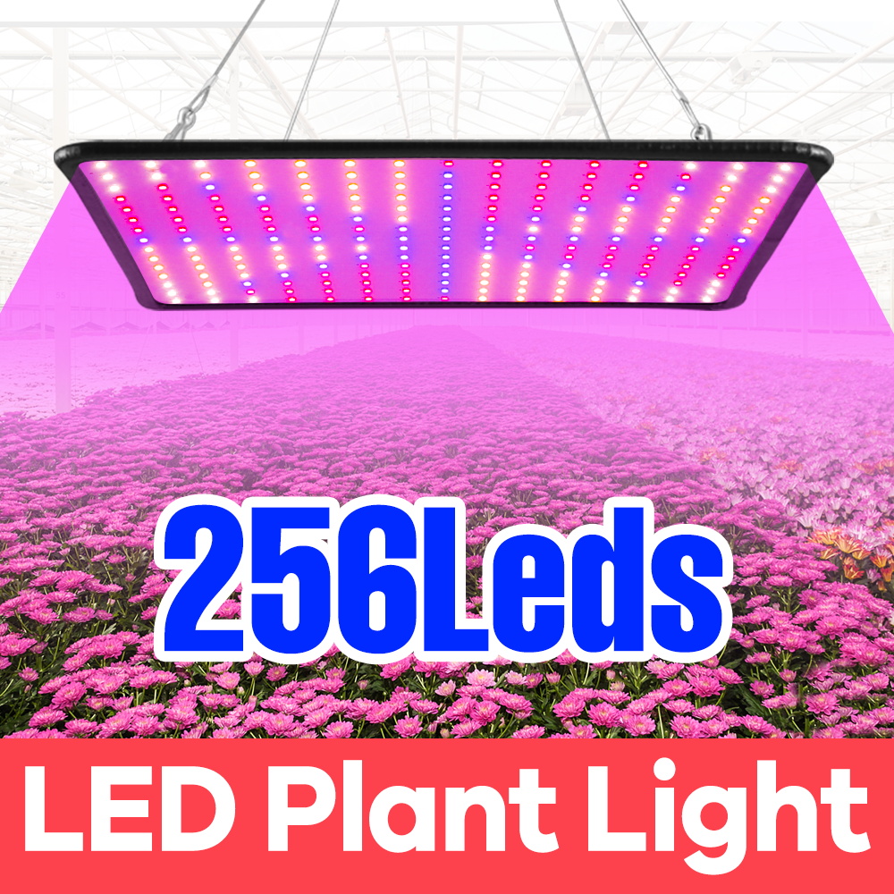 Luz LED de espectro completo para cultivo de plantas, tablero cuántico rojo, azul, UV, IR, lámpara de relleno para plántulas, 220V/110V, iluminación para cultivo de macetas de frutas
