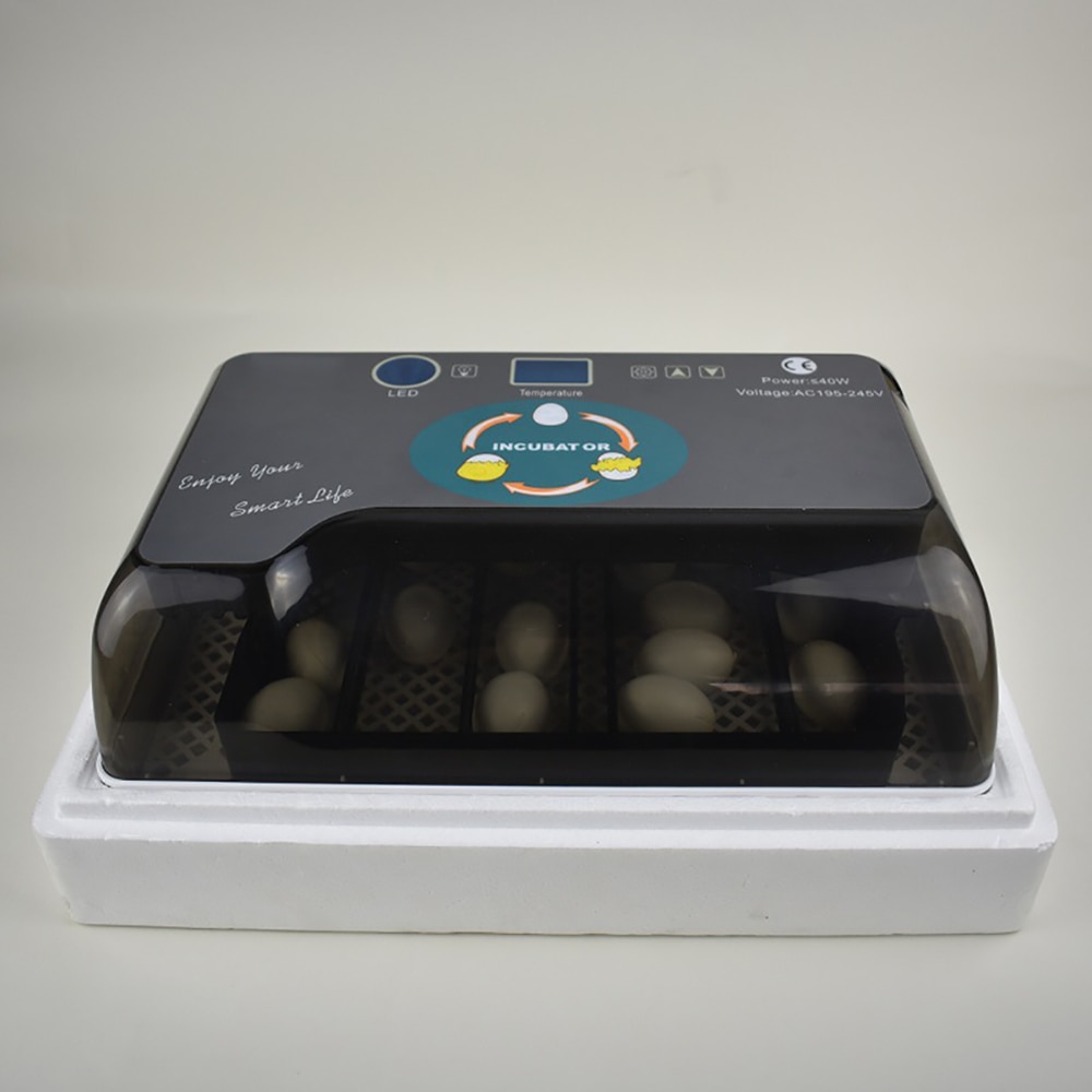 Temperatur kontrol digital automatisk kylling kylling klækker æg inkubator klækker til kylling æg inkubator