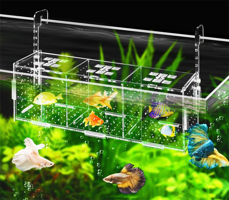 Acrylic transparent isolation box for fish tank aquarium fish fry hatching reproduction single and double grid