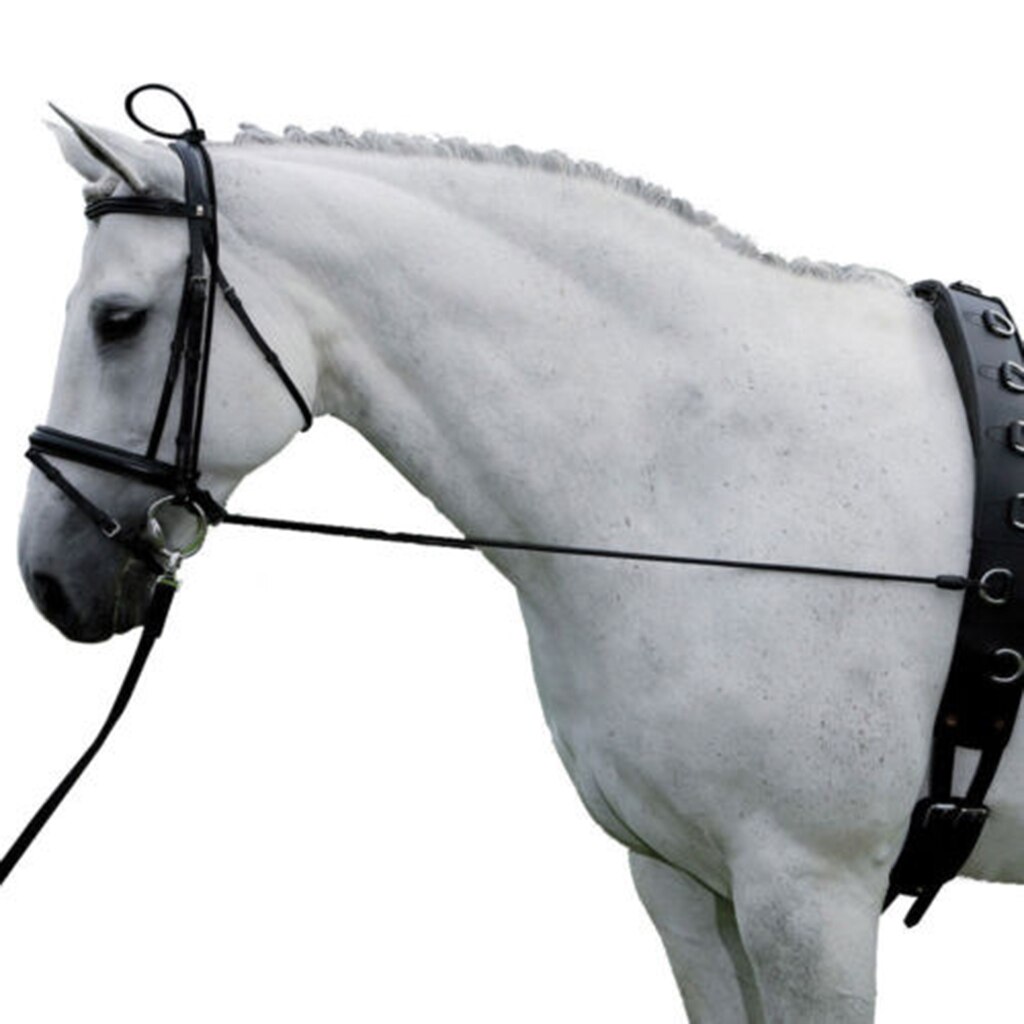 Zwart Paard Nek Brancard Paard Training Grooming Tool Paardensport Levert