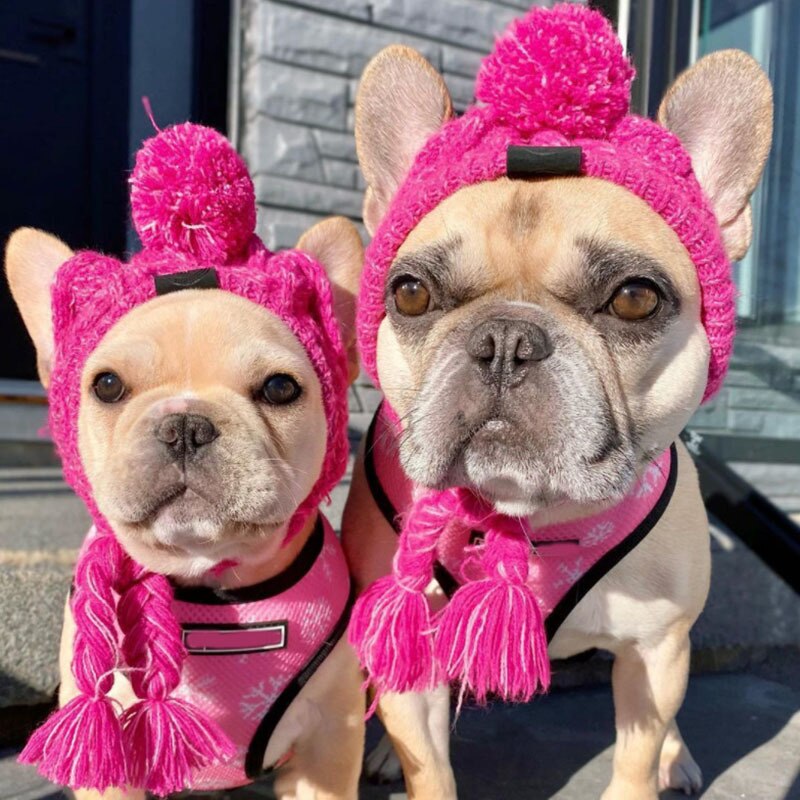 Warm Kleine Hond Hoed Winter Chihuahua Puffball Cap Winddicht Franse Bulldog Medium Honden Katten Hoed Decoratieve Pet Accessoires