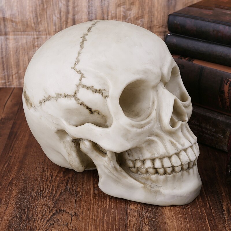 Arte de resina cráneo humano réplica enseñanza modelo realista 1:1 tamaño adulto
