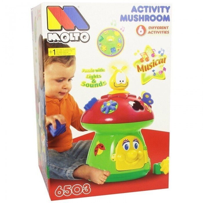 Attività dei funghi