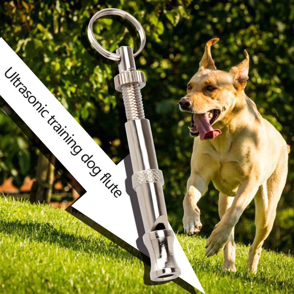 Rvs Hond Puppy Fluitje Barking Whistle Pet Verstelbare Sound Stop Tool Voor Huishoudelijke Dier Honden Supply