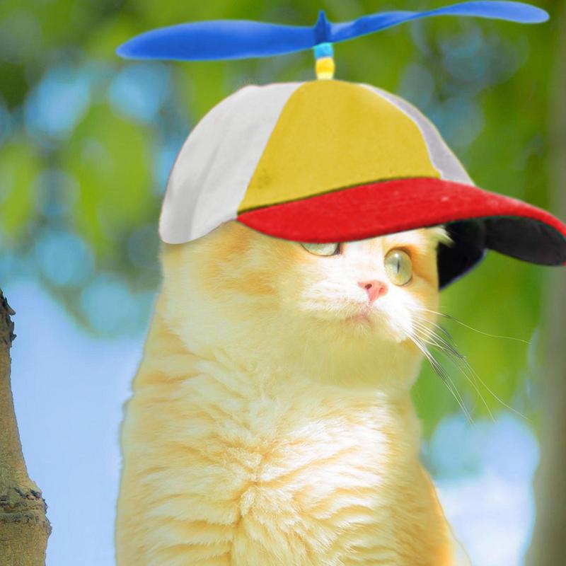 Cappello a elica per cani cappelli per sport tutto'aria aperta per animali domestici con fori per le orecchie cappello per cani cappello a cilindro per elicottero arcobaleno per piccoli cuccioli di gatti forniture per animali domestici