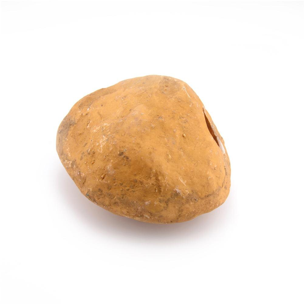 HiMISS Reptile Box Lizard Snake Spider Scorpion Cave Nest Aquarium Decorative