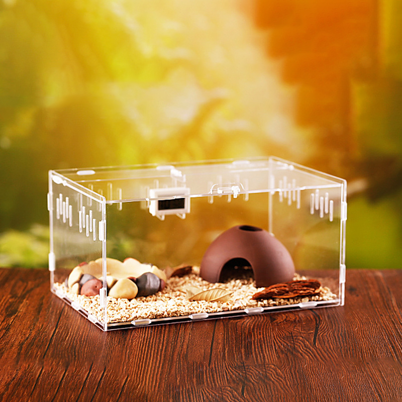 Zbiornik gadów owady pająki żółw jaszczurka akrylowy przezroczysty inkubator Spide rogaty żaba chrząszcz Vivarium pokrywa Terrarium