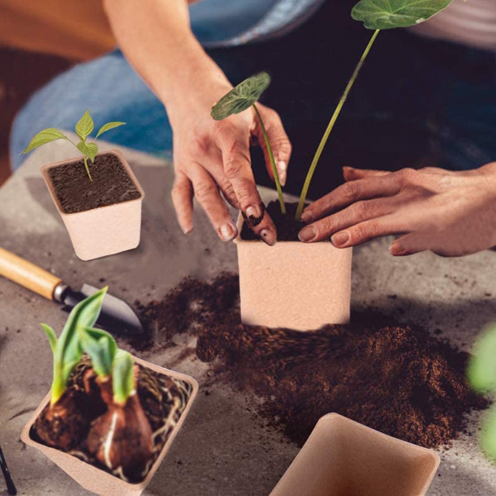 40pcs 8cm Paper grow Pot Plant Starters Herb vegs flower planter Nursery Cup Kit Biodegradable Home gardening tools cultivation