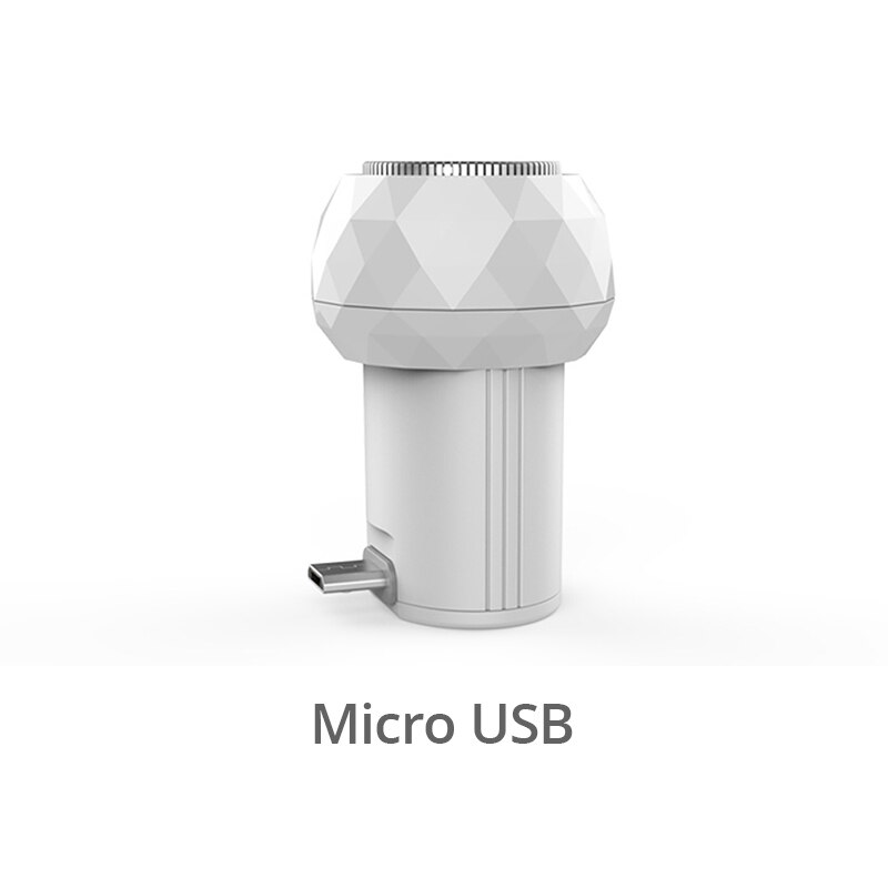 Rasoir Portable pour hommes, chargement USB, lumière bleue, s'applique à Type C, Micro USB, iPhone: Micro USB
