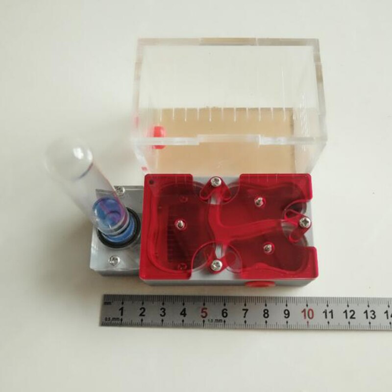Große Größe Ant Nest Flache Nest Ant Farm Mit Test Rohre und Sonnenblende 3D Druck Matrix Insekt Liefert: 3 grids