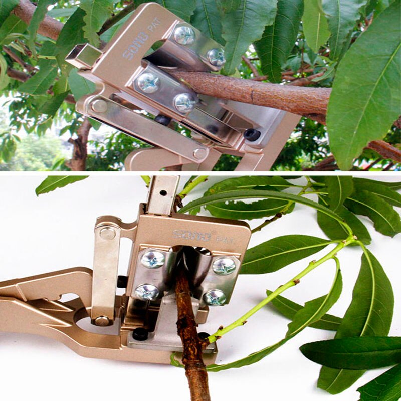 Vegetabilsk grafter træ podning værktøj frugt engrafter frugttræer