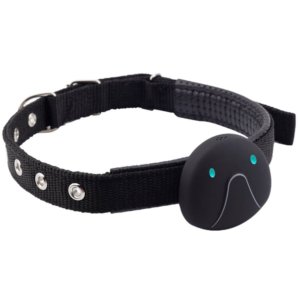 Smart Pet GPS Location Tracker Pet GPS Dog / Cat Collar Water-resistant USB Charging: black