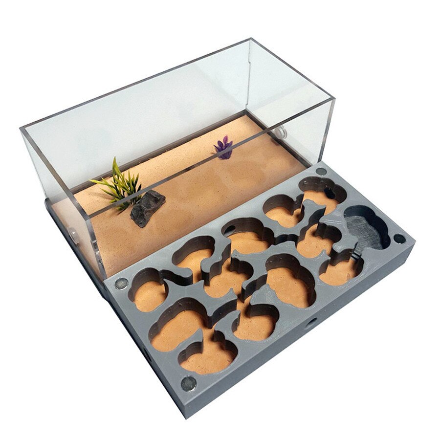 3D Acryl Flat Ant Farm Ecological Ant Nest with Feeding Area Concrete Ant House Pet Anthill Workshop Moisturizing Water Pool: L
