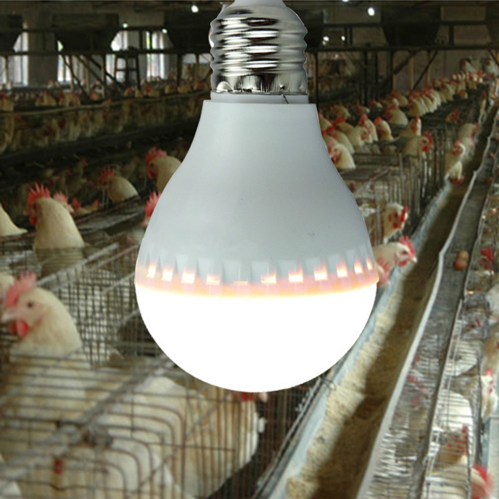 1 Pc Speciale LED Gloeilamp Spaarlamp Kip Huis Verlichting Slak E27 Spaarlamp Verbeteren Ei productie Rate