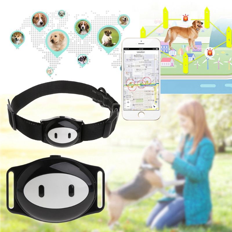 Sällskapsdjur lokalisering intelligens gps plats vattentät spårkrage geo staket långvarig vänteläge hund katt valp finder larm röst app