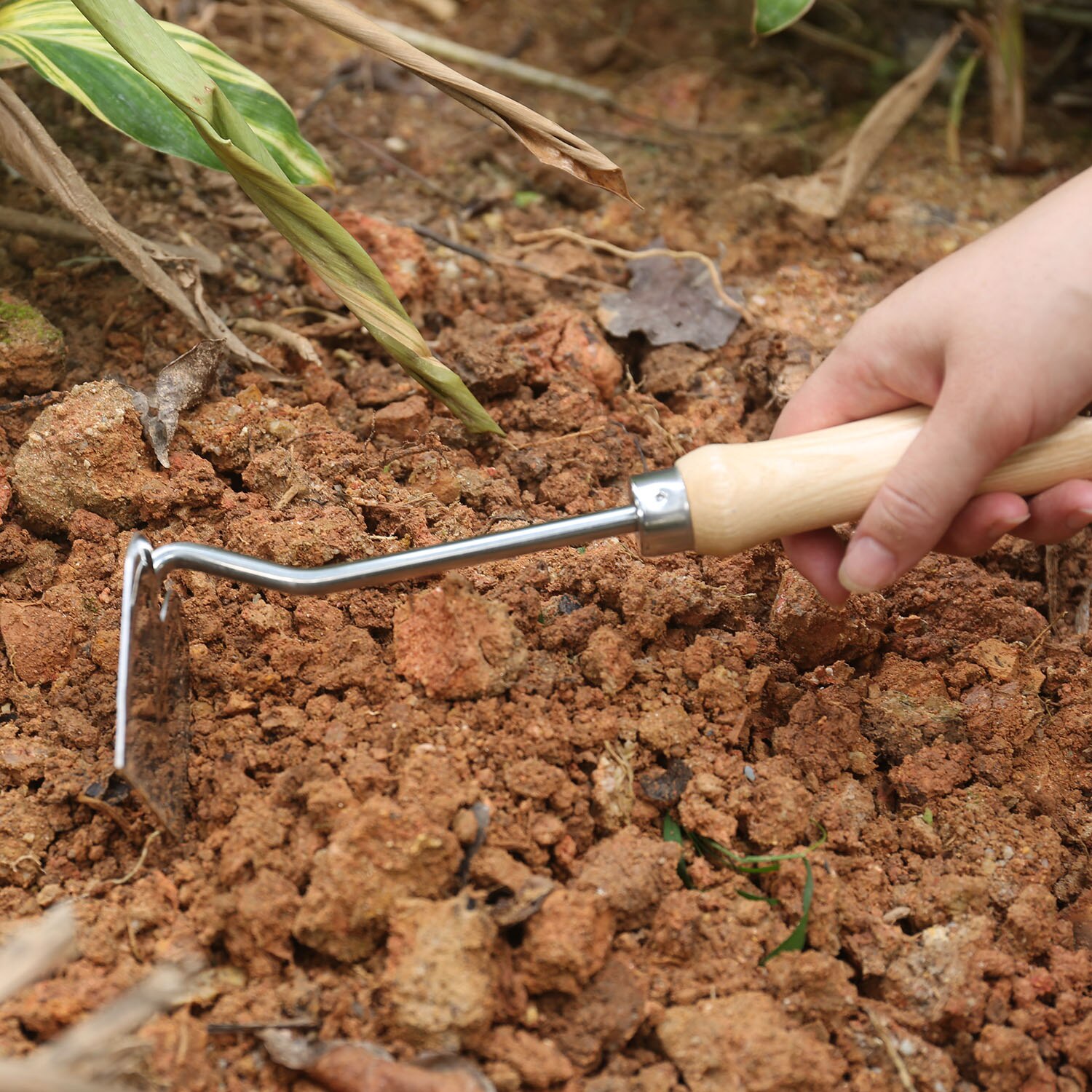 Wooden Handle Stainless Steel Hoe Vegetable Soil Loosening And Weeding Garden Tools