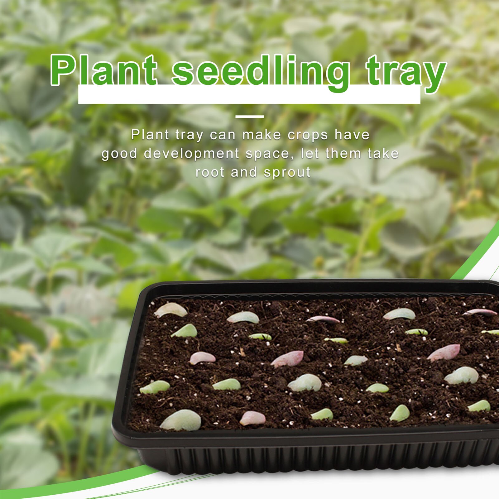 10PCS Plastic Seedling Tray NoDrain Holes For Greenhouse Plant Germination Nursery Pot Tray Succulent Vegetable Grow