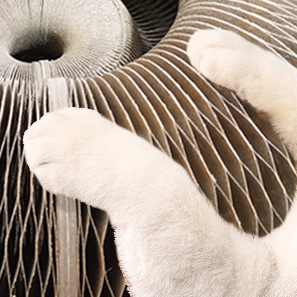 Magiczne organy drapak dla kota kot zabawka z dzwonkiem kot robić ścierania pazurów koci plac zabaw kot zadraśnięcie zabawka kot Scratcher salon łóżko