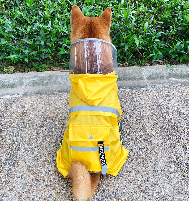 Gul hund regnfrakke fire fod vandtæt kæledyrsforsyning tøj / bichon hund schnauzer shiba inu regnfrakke alt inklusive