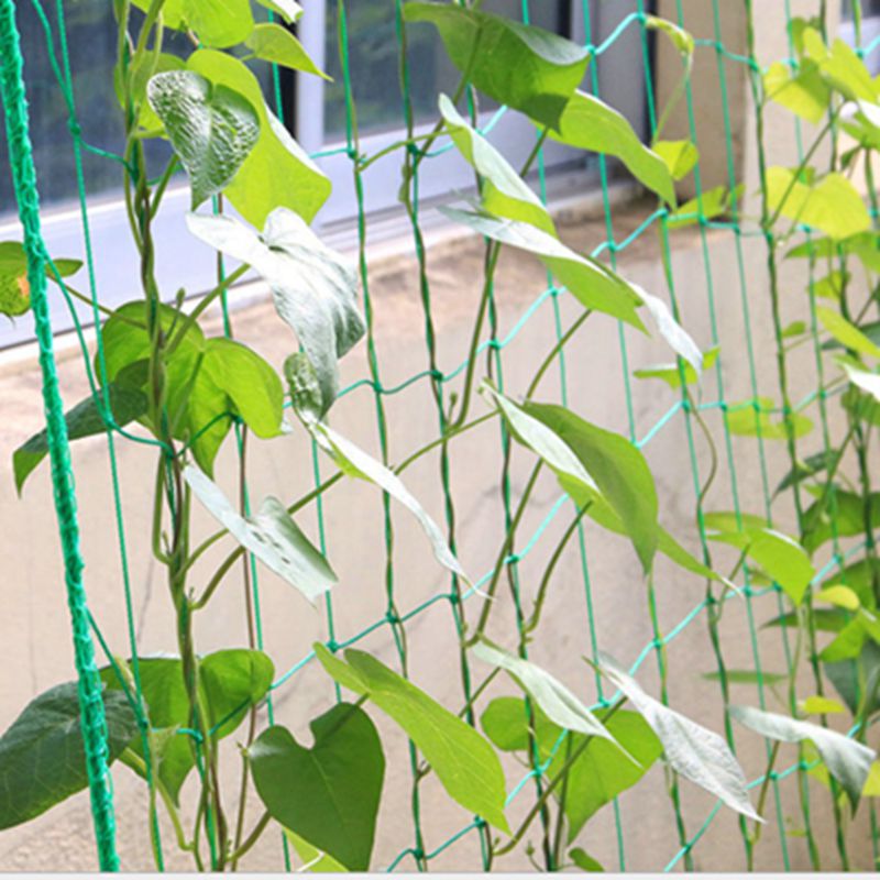 Tewango Heavy Duty Nylon Net Support for Cucumber Morning Glory Petunia Flowers Veggie Trellis Net Plant Climbing Vine