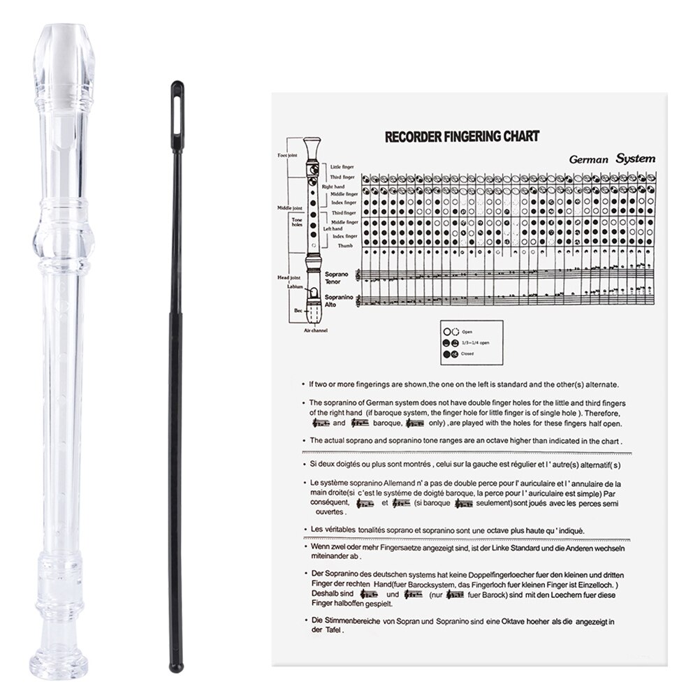 Flûte traditionnelle de clé G d'instrument d'enregistrement de 8 trous avec le manuel de tige de nettoyage: transparent
