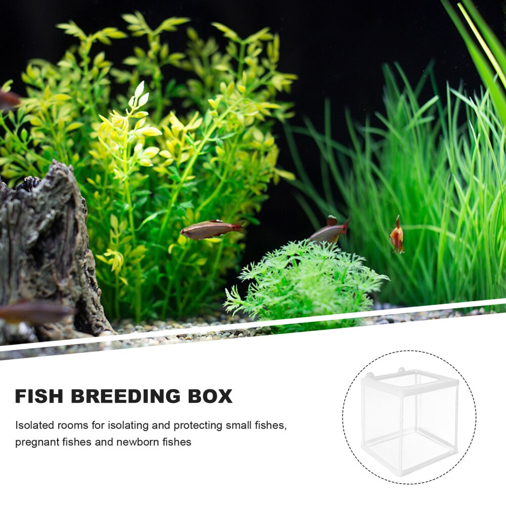 1Pc Fish Breeder Box Practical Fish Aquarium Home Fish Isolation Box White