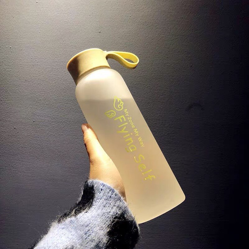 Søt gallon vannflaske silikon te plast gjenbrukbare låve vannflaske drikke halm borraccia termica hjem dekor  oo50bl: Stil 2