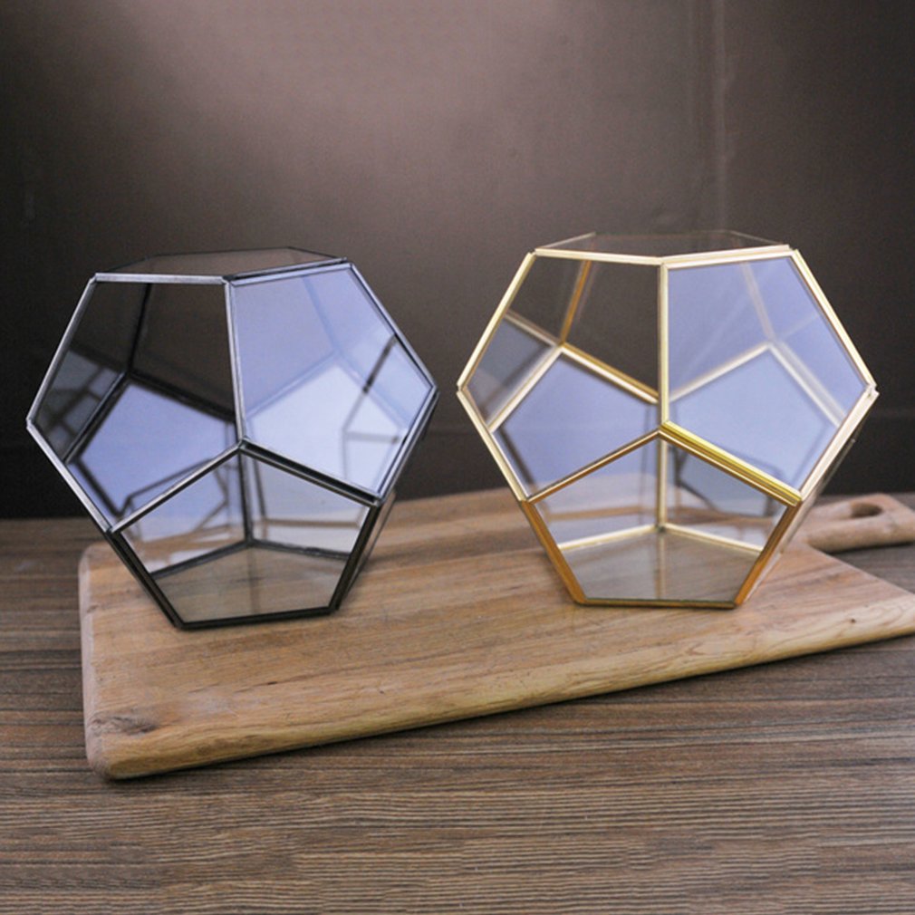 Dodecaëder Glas Kas Groene Plant Transparante Creatieve Mos Micro Landschap Vlezige Bloempot