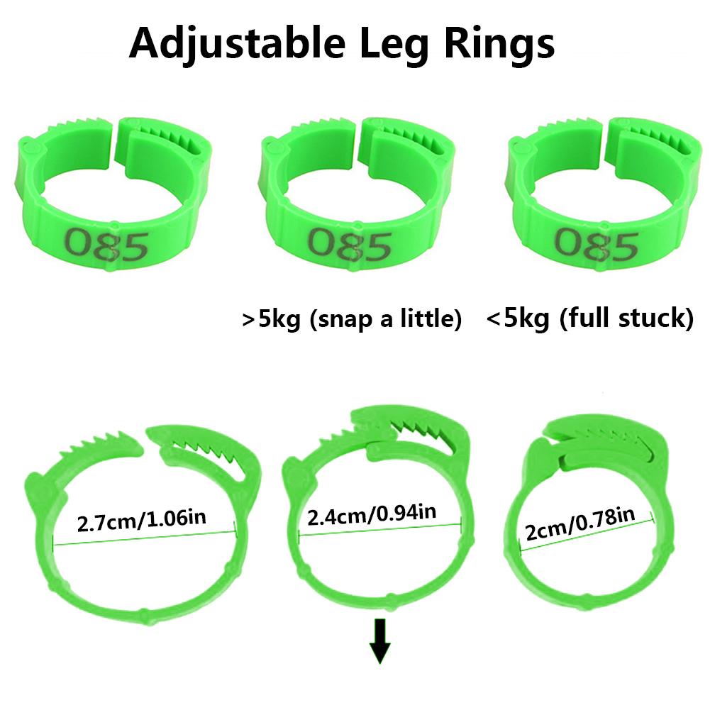 Anillo para gallina de 100 Uds. De diámetro interior de 2,0 Cm, banda para pata de pichón, aves, Paloma, ave, codorniz, gallina, pato, anillos de Clip de loro