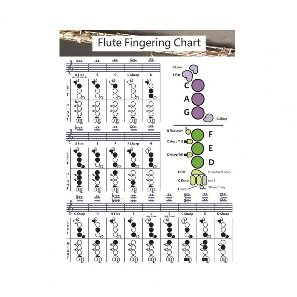 Guitar Flute Chord Fingering Chart Flute Practice Comparison Chart for Beginners Practicing Accessories