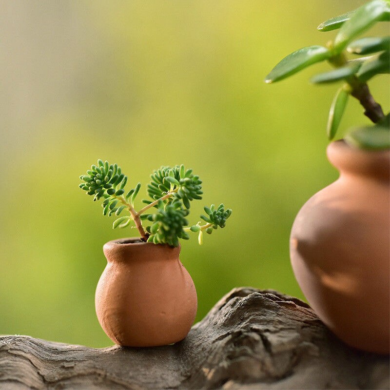 Small Mini Terracotta Flowers Pot Clay Ceramic Pottery Succulent Cactus Nursery Planter Pot Home Desktop Decor 10Pcs YYY9812