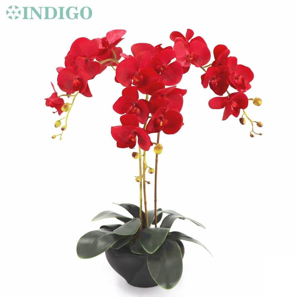 Arrangement fleur orchidée INDIGO-rouge grand 90cm (3 orchidée + 3 feuilles) vraie touche fleur décoration de fête de mariage