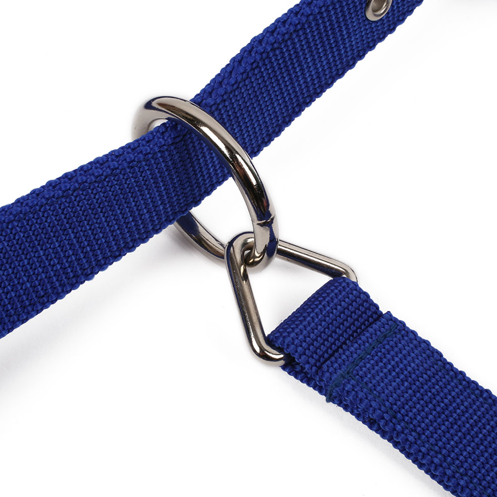 Horse Riding Belt Bridle Adjustable Halter Headstall Horsing Accessory Red/Blue